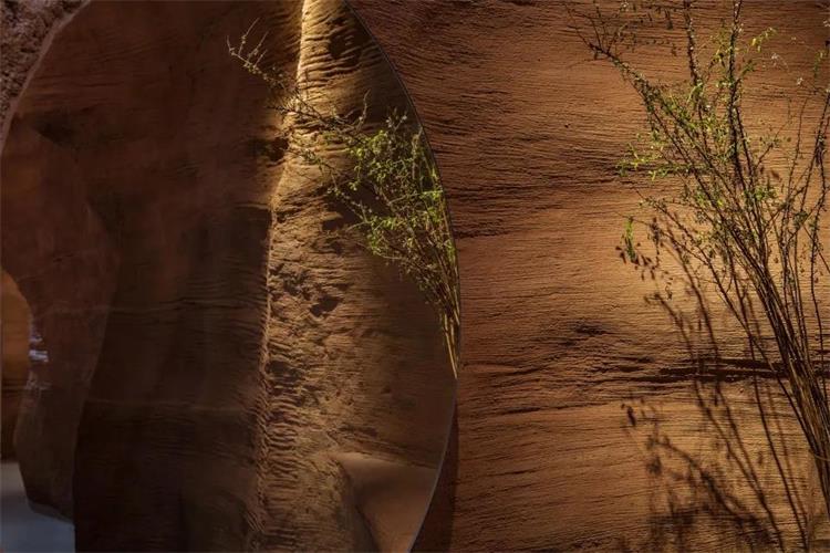 峽谷中遇見 · 深圳